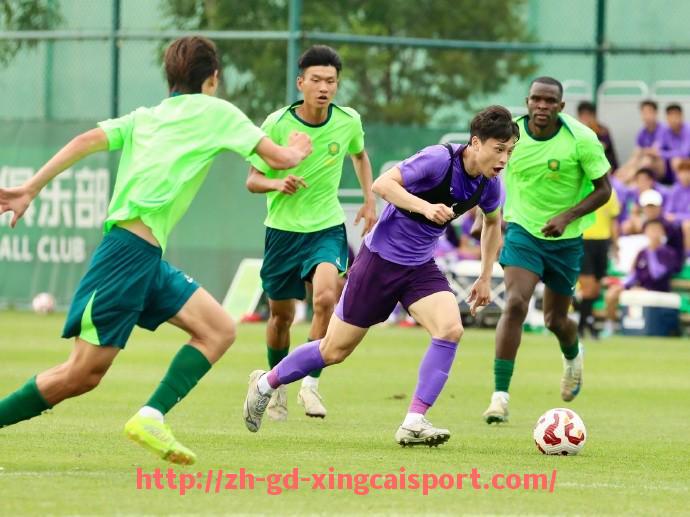 杏彩体育-世俱杯现场观赛指南及入场流程说明